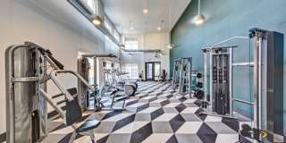 670 E Algonquin Road unit: 4303 Gallery 11