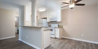 Volterra at La Mesa Gallery 17