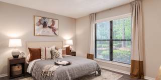 Park Valley Apartments Gallery 8