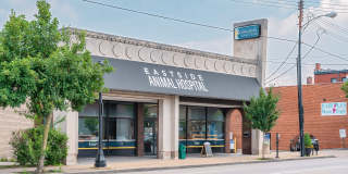 The Ridge Gallery 38