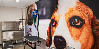 The Hamilton Gallery 16