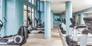 2Bayshore Gallery 43