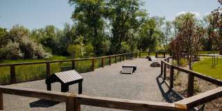 Weathervane Gallery 25