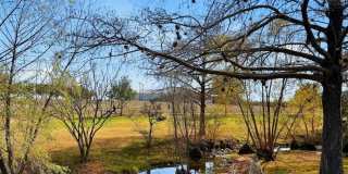 7940 Kennedy Hill Gallery 30