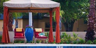 Bella Terraza Gallery 278