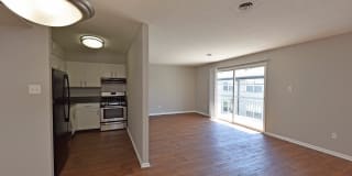 The Enclave Gallery 4