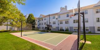 Trellis North Fayette Gallery 44