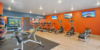 Cedar Green Gallery 13