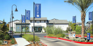 The Strand Gallery 5