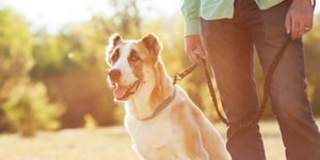 Belle Creek Apartments Gallery 29