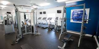 Reserve at Glenburnie Gallery 50