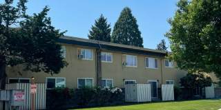 The Pines Apartments Gallery 1