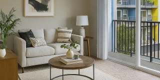 Raleigh Apartments Gallery 2