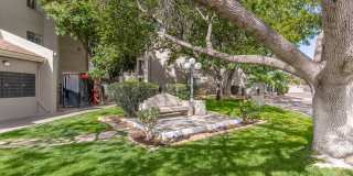 Sterling Pointe Gallery 14