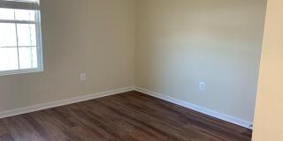 20549 ASHEVILLE Drive Gallery 4