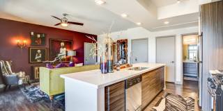 The Douglas at Stonelake Gallery 15