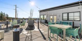 Lark Gallery 18