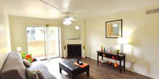 Wilshire Park Gallery 2