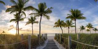 Mayla Pompano Gallery 2