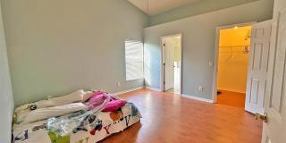 113 CELLO STREET Gallery 11