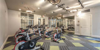 The Circle at Hermann Park Gallery 11