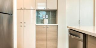 Janus Janus Gallery 14