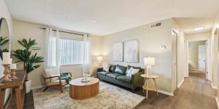 Sarasota South Gallery 2