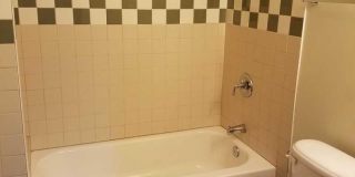 804 HOLLINS Street unit: 1 Gallery 5