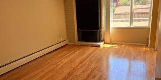 Sunny 2 bedroom in Mark Twain Building Gallery 5