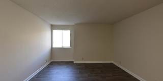 Noah's Landing Gallery 17