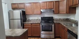 Springtree Gallery 6