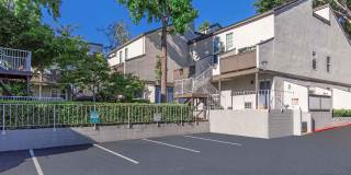 The Boulevard Gallery 24