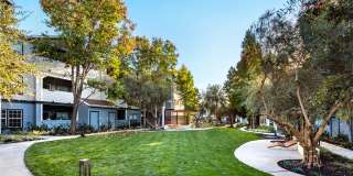 Monterey Grove Apartments Monterey Grove Apartments Gallery 16