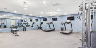 Cheswick Village Gallery 18