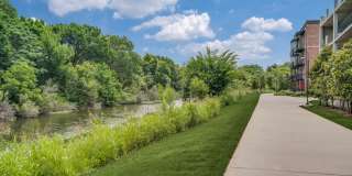 The Canal Gallery 44