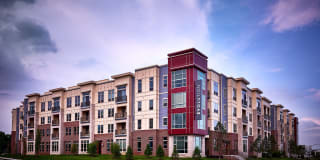 Evolution at Towne Centre Gallery 1