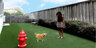 Tuscany Court Apartments Gallery 9