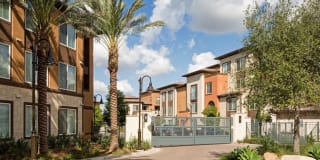 Avalon Vista Gallery 44