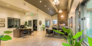Puget Park Apartments Gallery 2