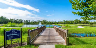 Cortland Hunter's Creek Gallery 32