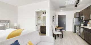 Amber Union Gallery 15