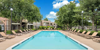 Columbia Glade Gallery 38