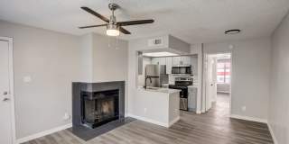 Rise on Cactus Gallery 10