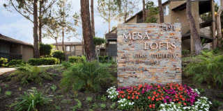 Elán Mesa Lofts Gallery 1