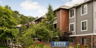 Canyon Creek Apartment Villages Gallery 48