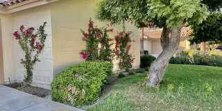 55459 Tanglewood Gallery 47
