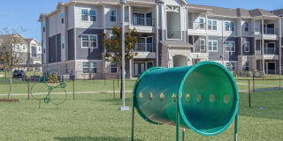 Roots at Waco Gallery 28