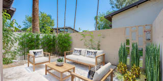 Tahquitz Court Gallery 5