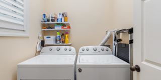 5 Warrington Place Gallery 11