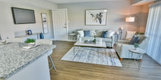 Verona at District Gallery 6